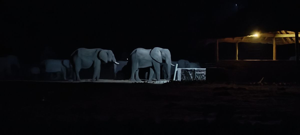 Letzte Tage in Botswana