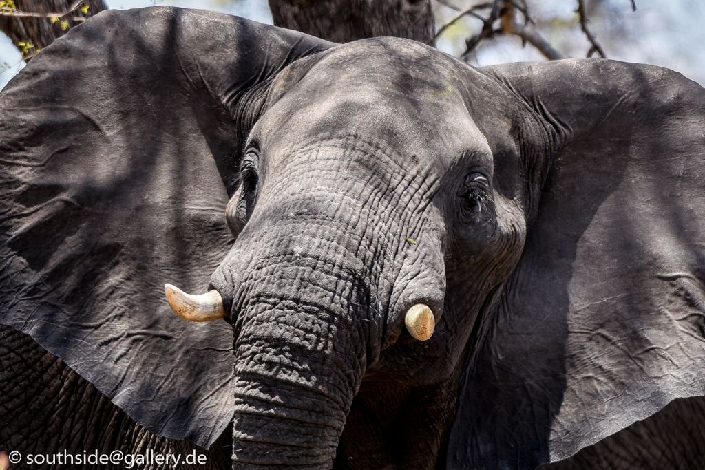 Muduma National Park