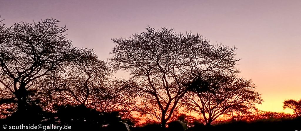 Etosha National Park