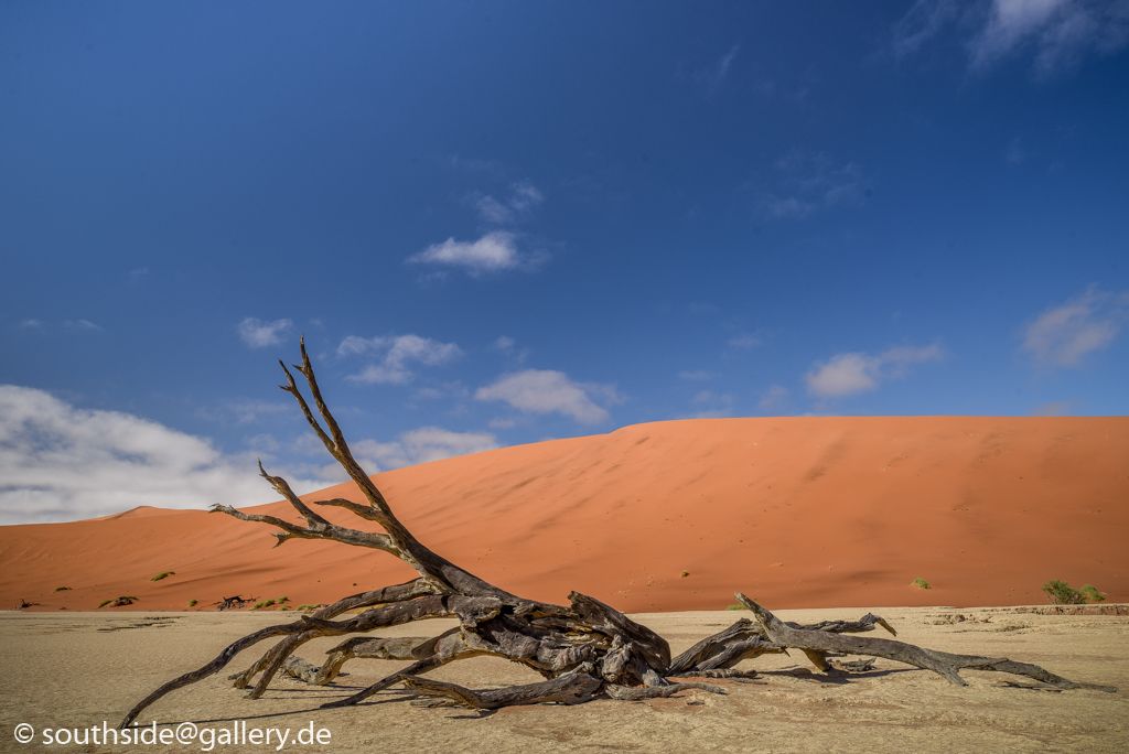 Solitaire und Sossousvlei