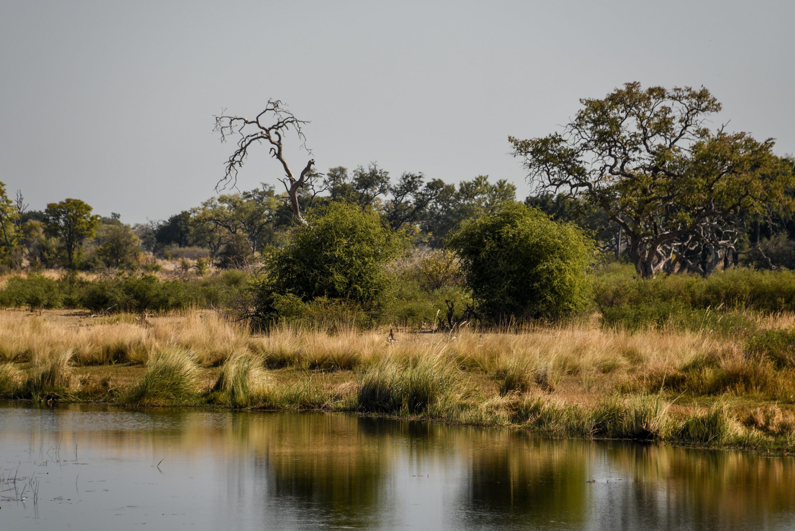 Kwando Backwaters & Sambesi River
