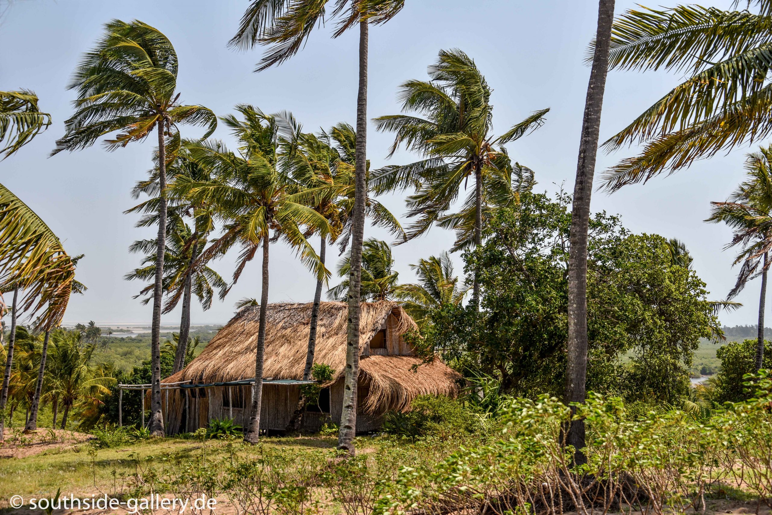 Tropisches Mozambique – Kokospalmen und Meer