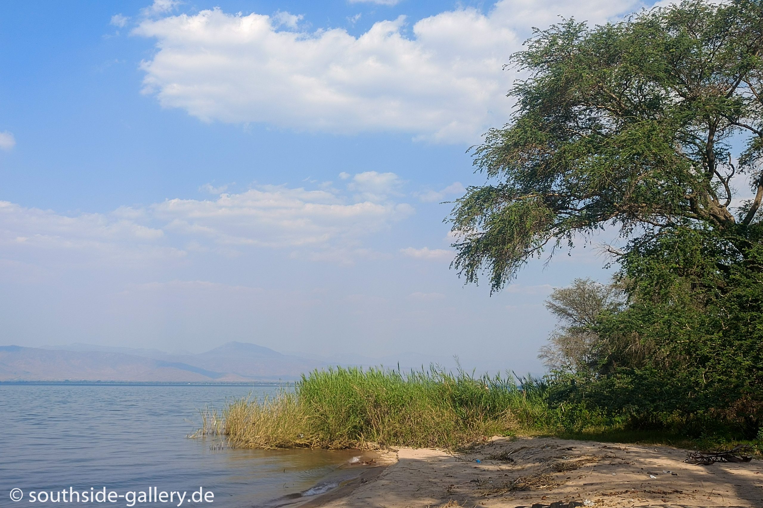 Lake Malawi