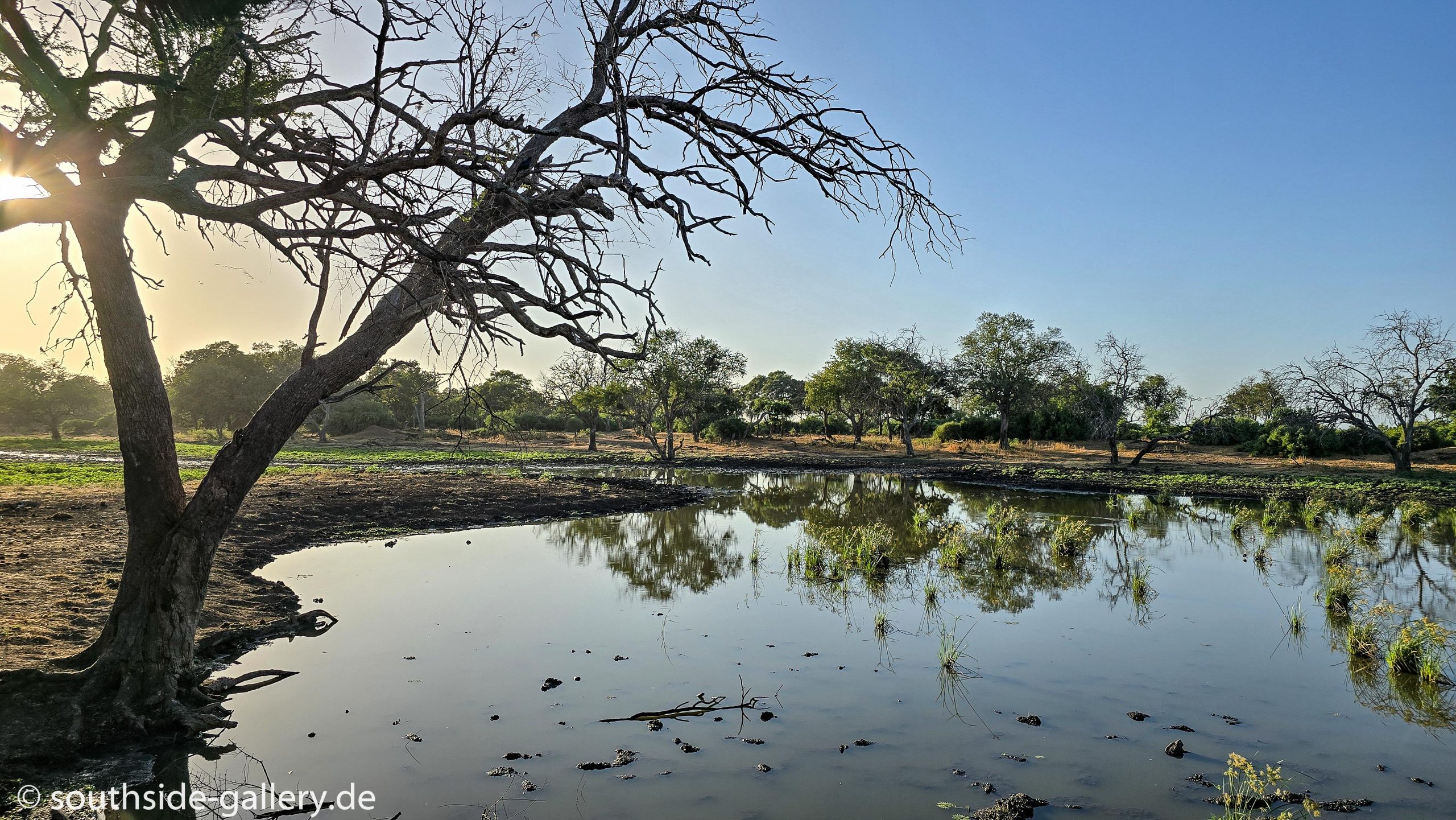 Mapungubwe Nationalpark