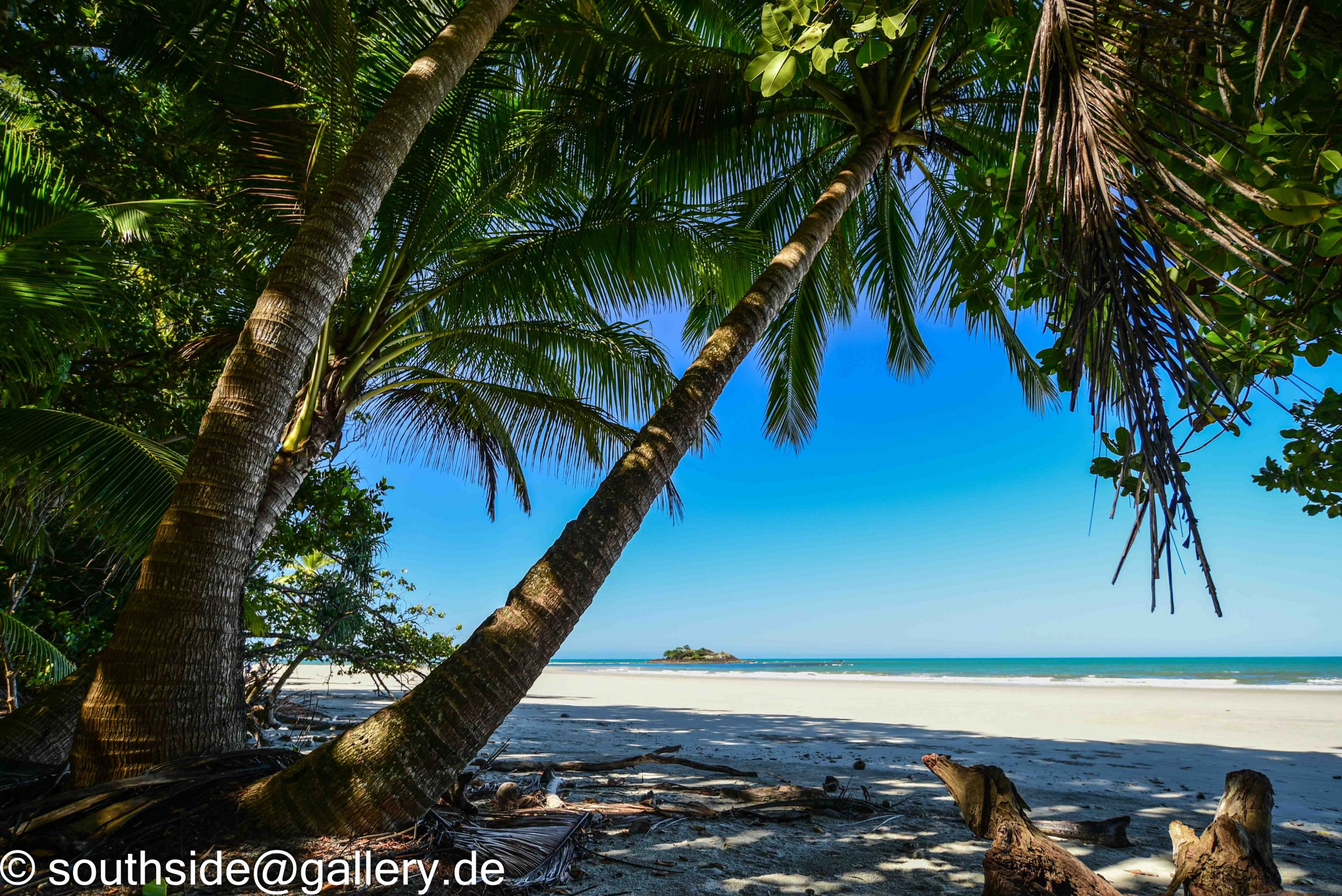Cape Tribulation